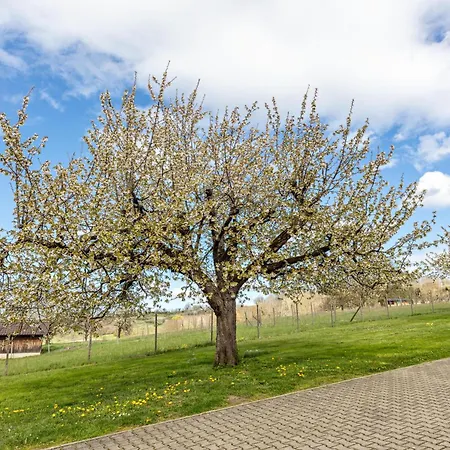 Kirschenhof شقة *