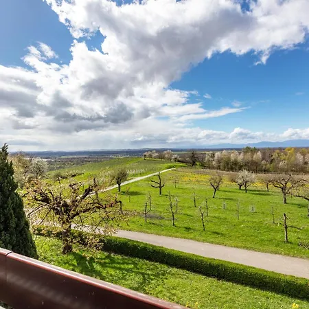 Kirschenhof * باد بيلنغن