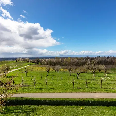 Kirschenhof شقة *